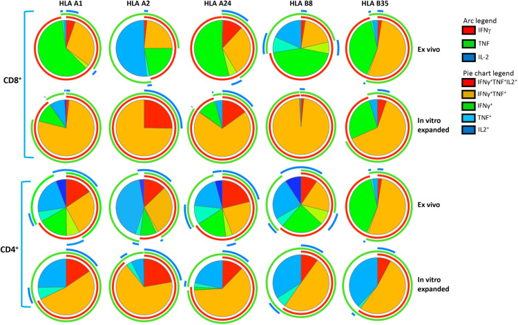 Fig 4