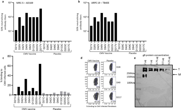 Fig 10