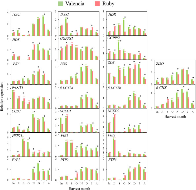 Figure 6