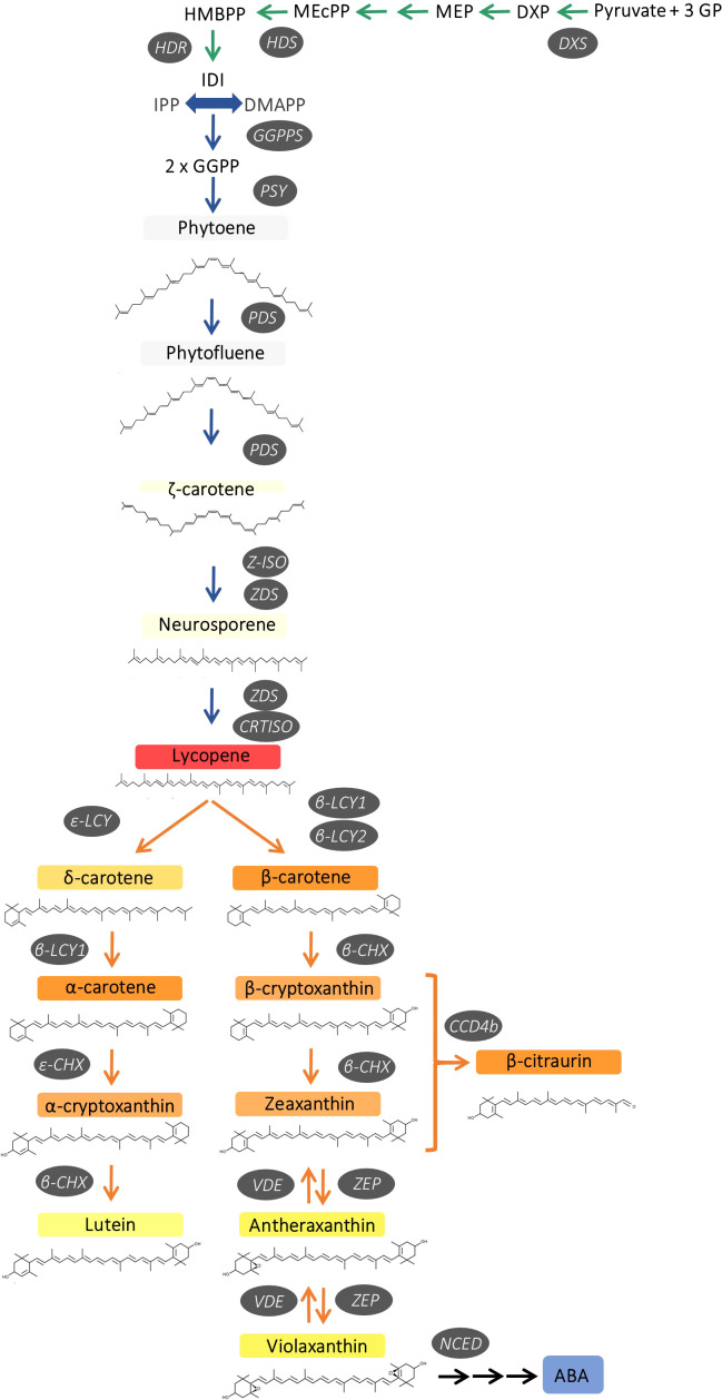 Figure 1