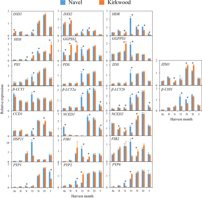 Figure 5