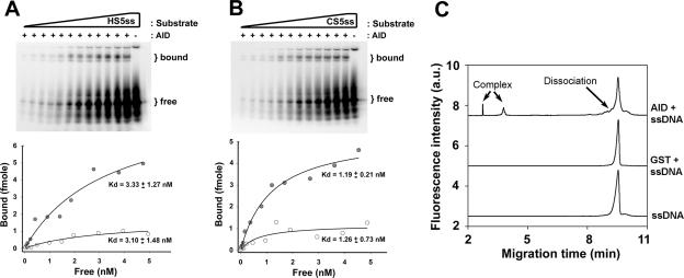 FIG. 5.