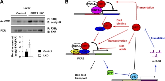 Fig 8