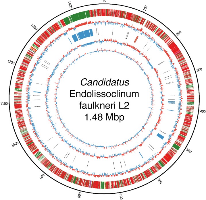 Fig. 2.