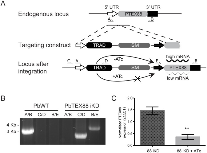 Fig 4