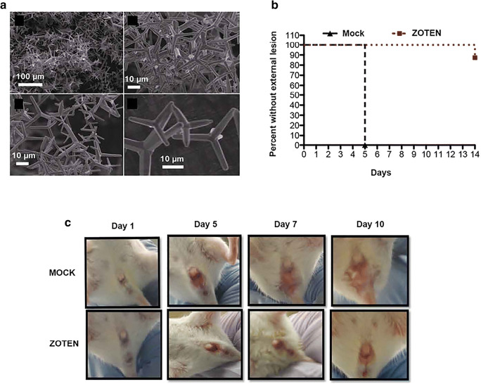 Fig. 7