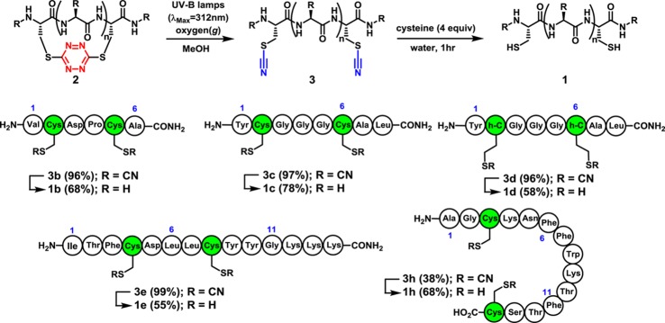 Scheme 3