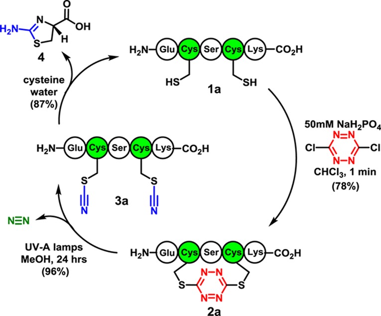 Scheme 1