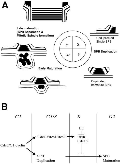 Figure 9.