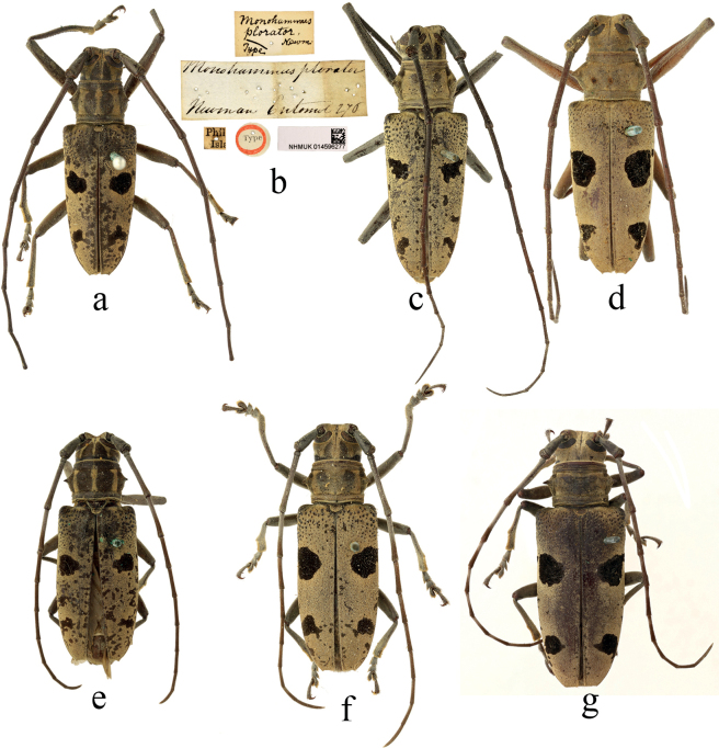 Figure 4.