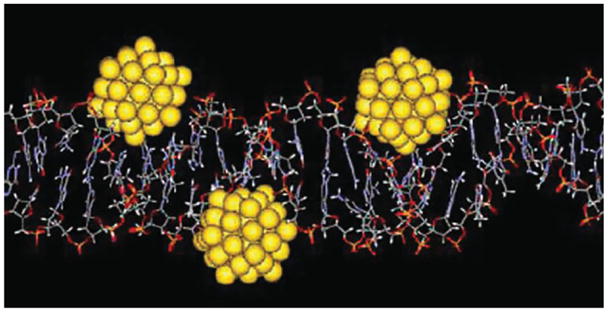 FIGURE 11