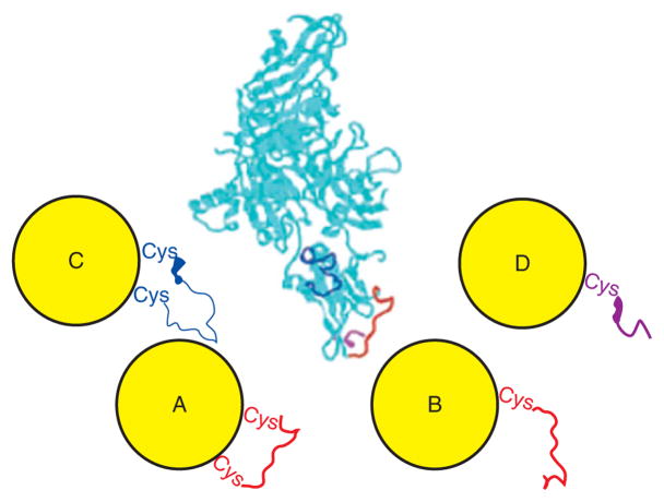 FIGURE 10