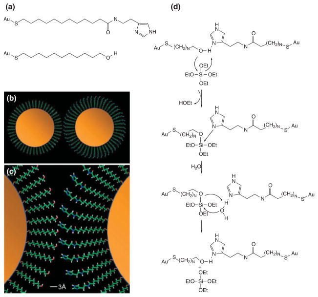 FIGURE 12