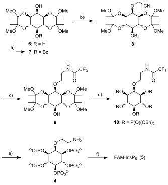 Scheme 2