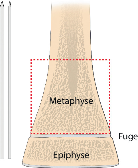 graphic file with name 64_2020_684_Fig10_HTML.jpg