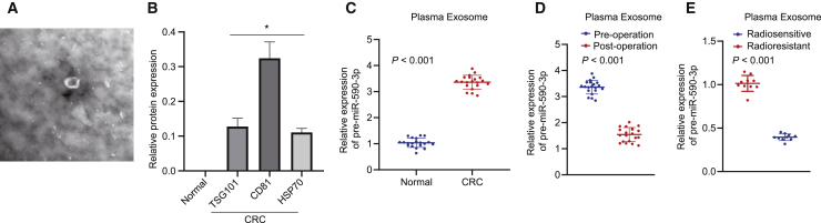 Figure 7