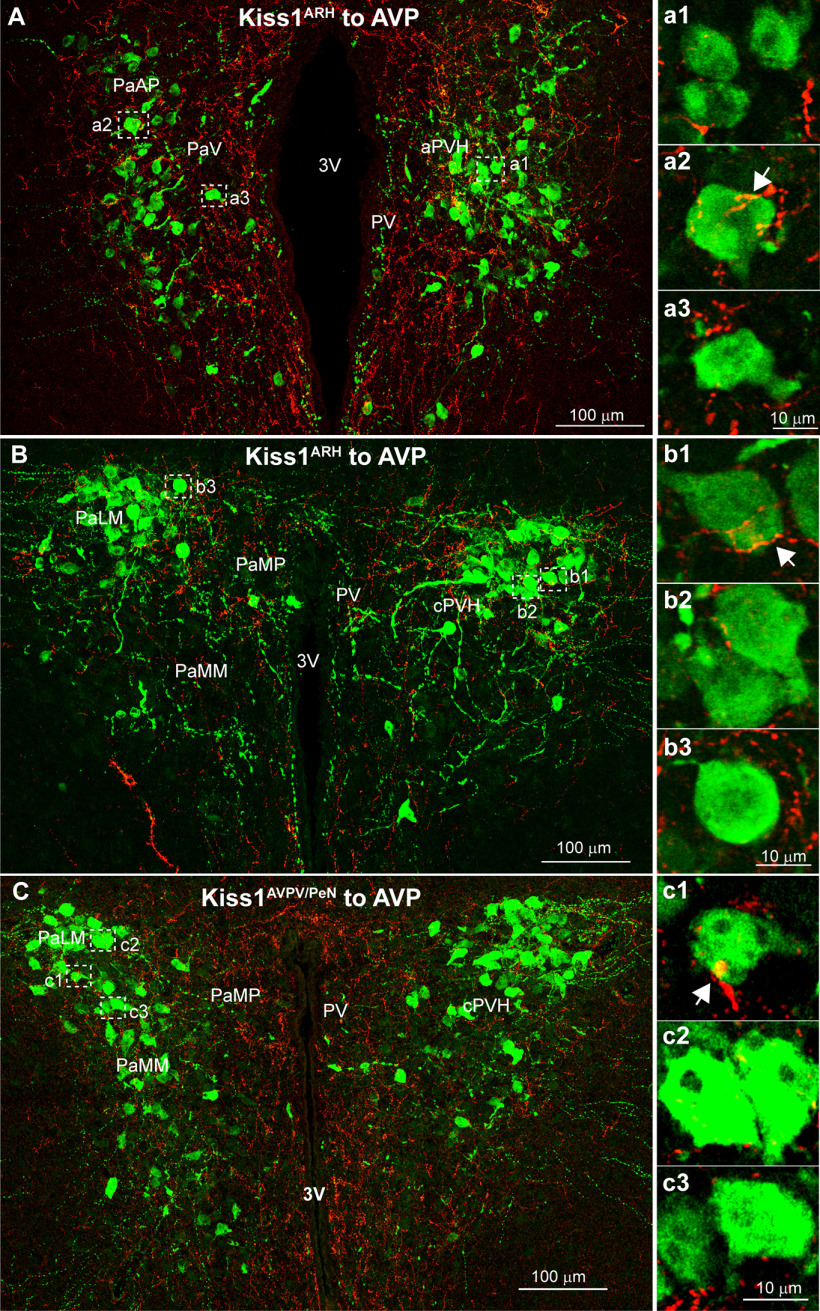 Figure 14.