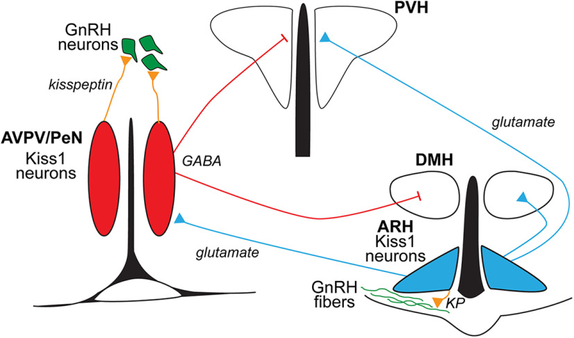 Figure 18.