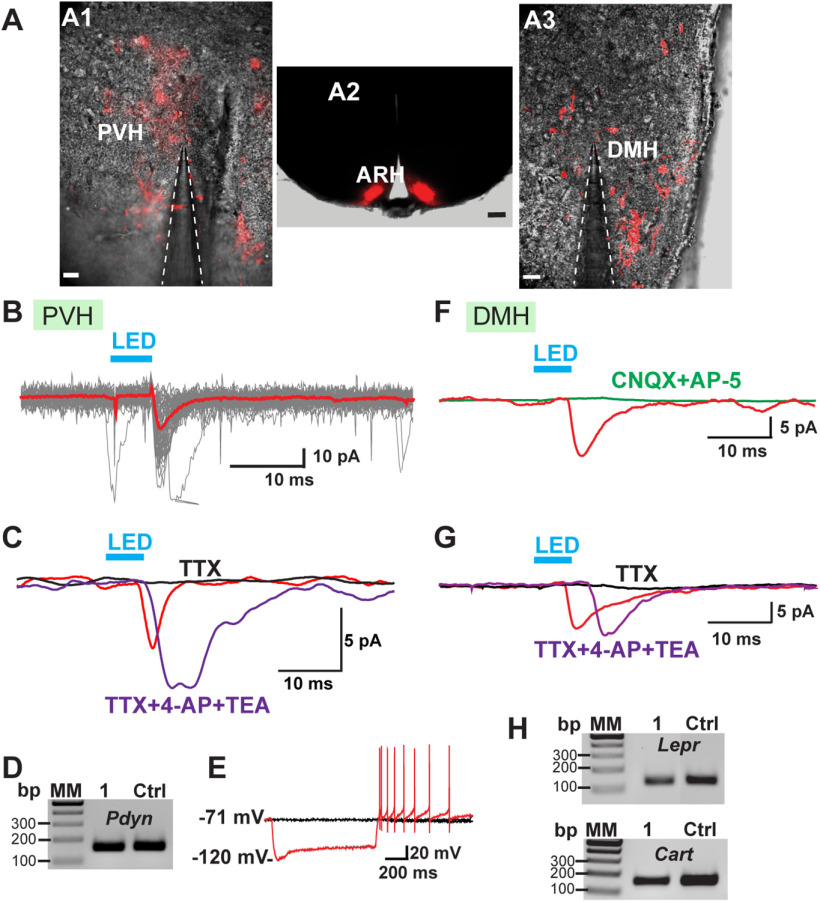 Figure 17.