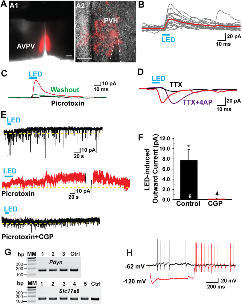 Figure 15.