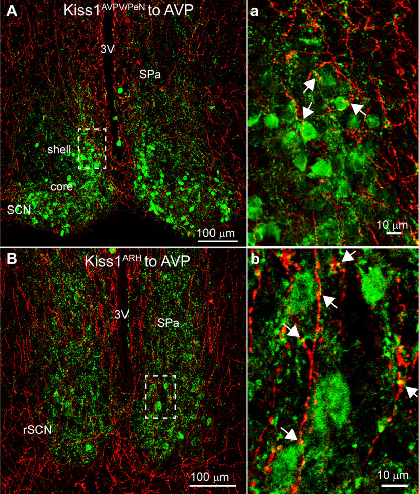 Figure 12.