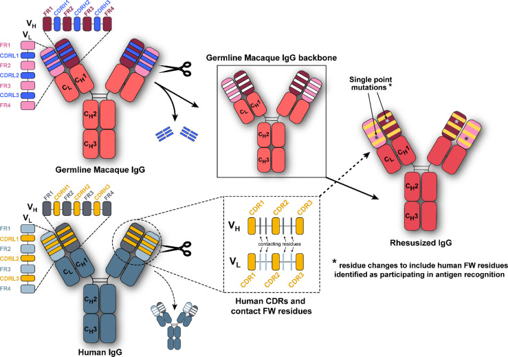 Figure 1