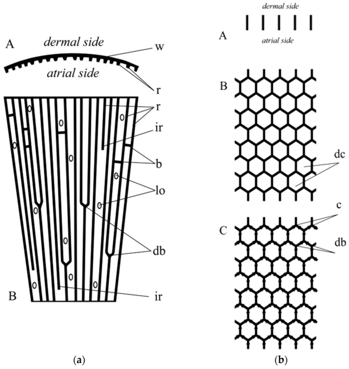 Figure 18