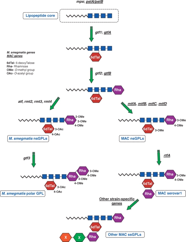 Fig. 2