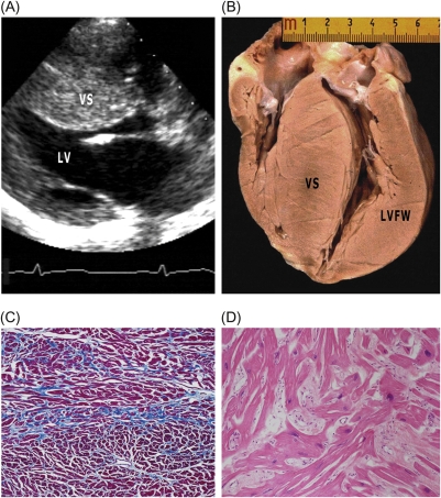 Figure 5