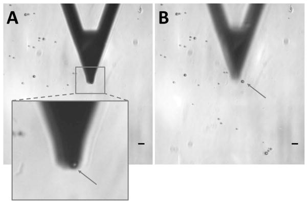 Fig. 5