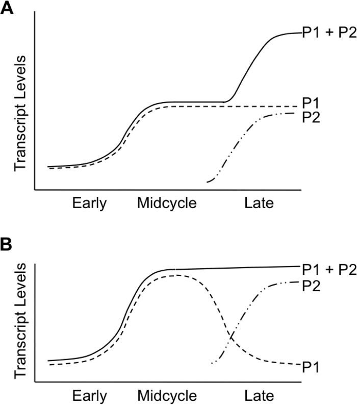 FIG 7