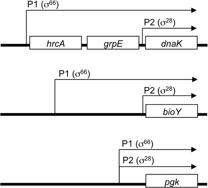 FIG 2