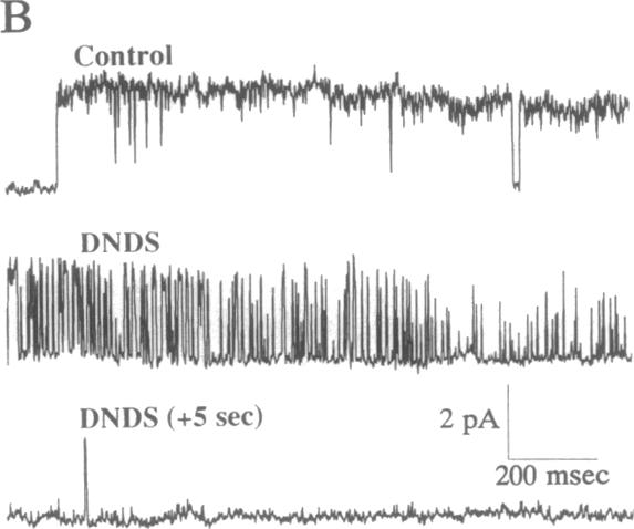 graphic file with name pnas01062-0223-c.jpg