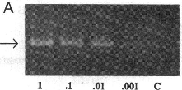 graphic file with name pnas01062-0222-a.jpg