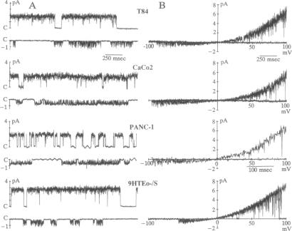 graphic file with name pnas01062-0223-a.jpg