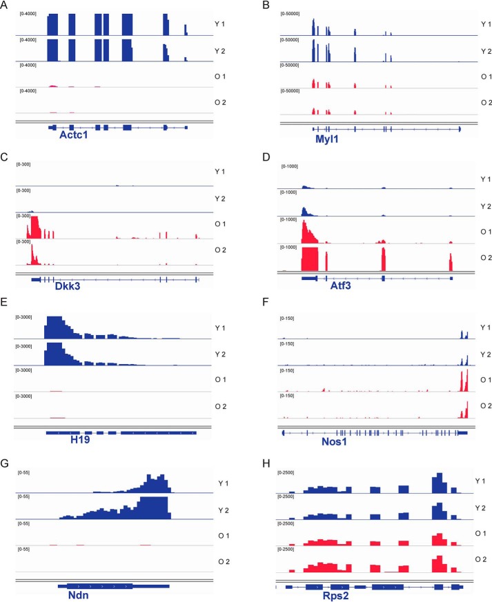 Figure 6.