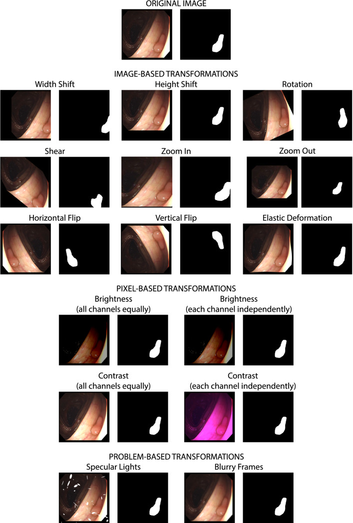 Fig. 1