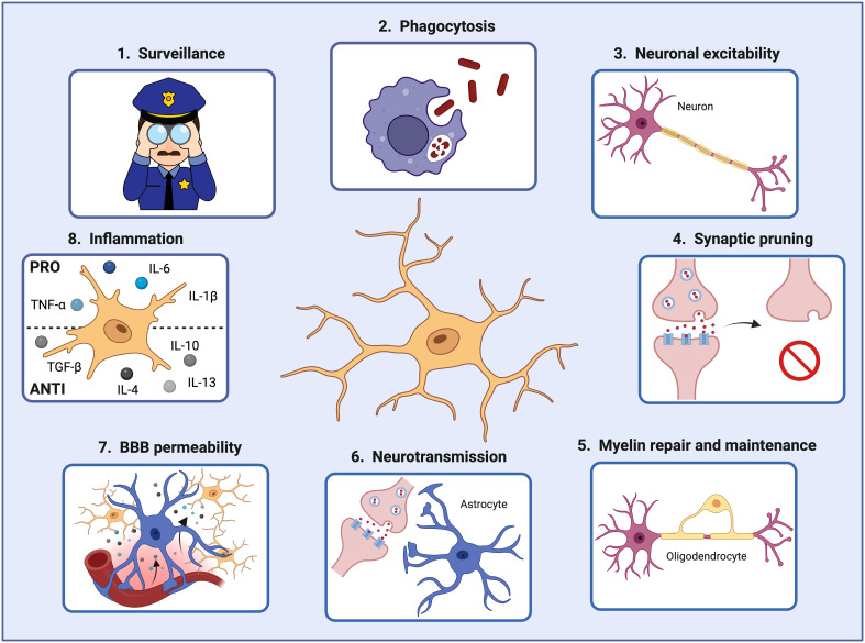 Figure 2