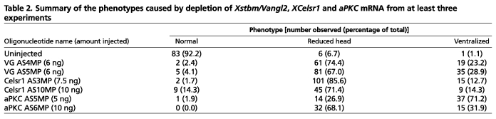 graphic file with name table009.jpg