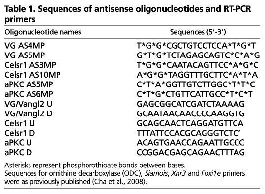 graphic file with name table008.jpg