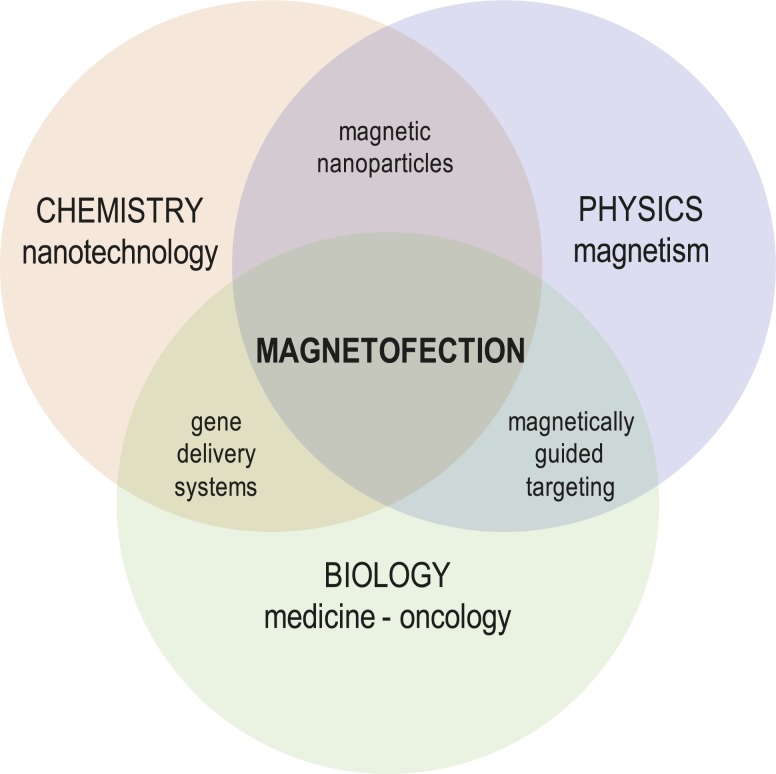 FIGURE 4.