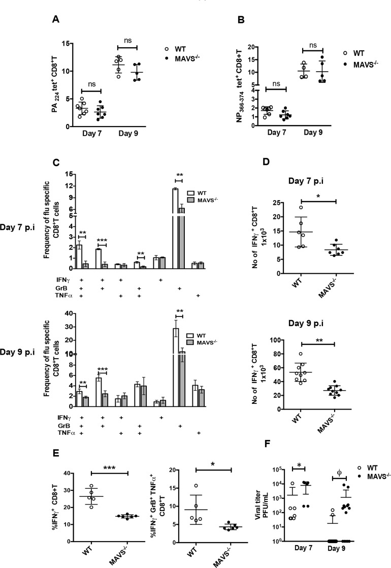 Fig 5