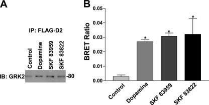 FIGURE 11.