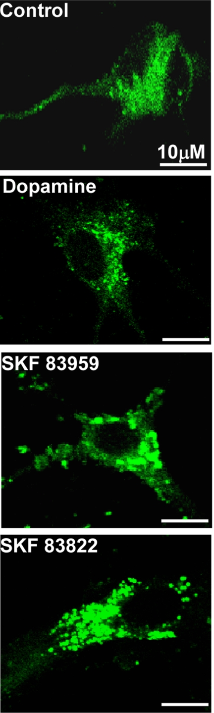 FIGURE 10.