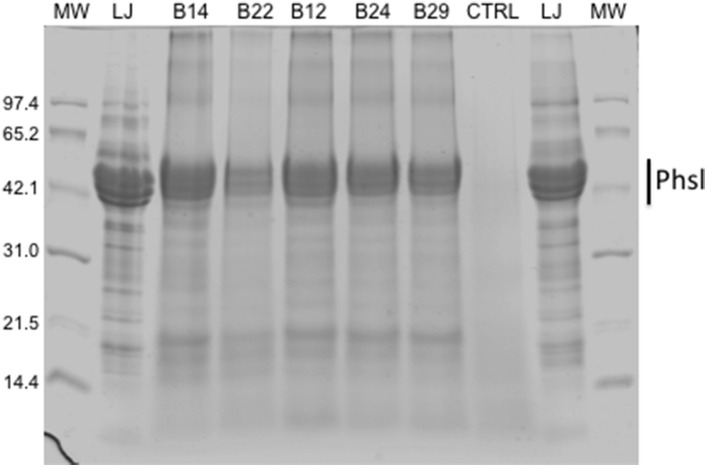 Figure 4