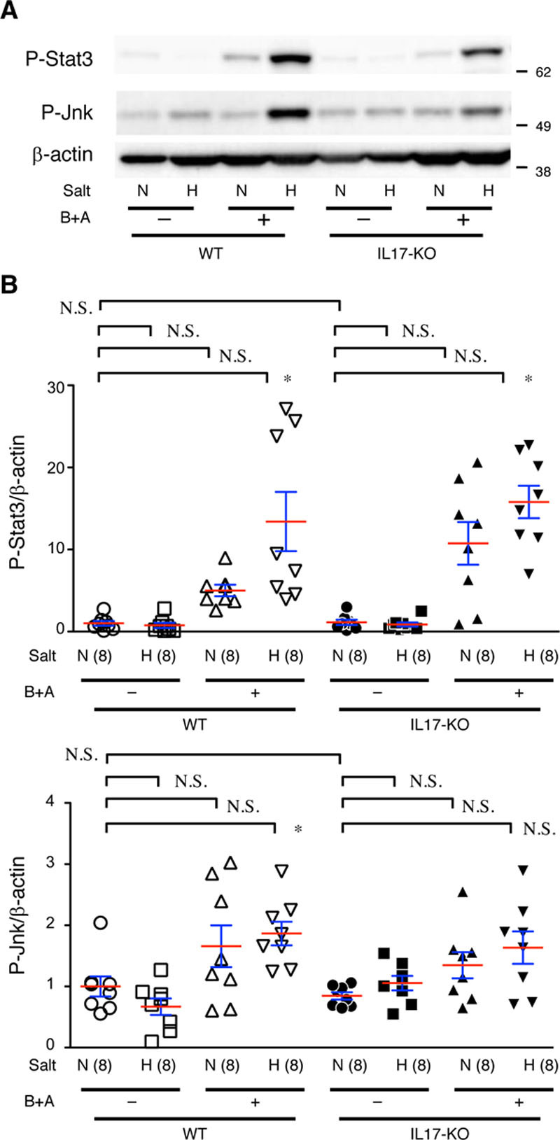 Figure 9.