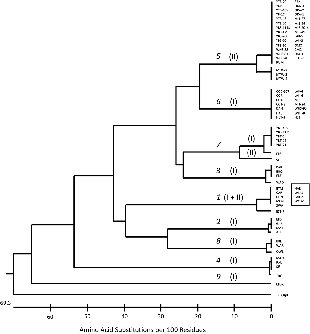 Fig. 5.