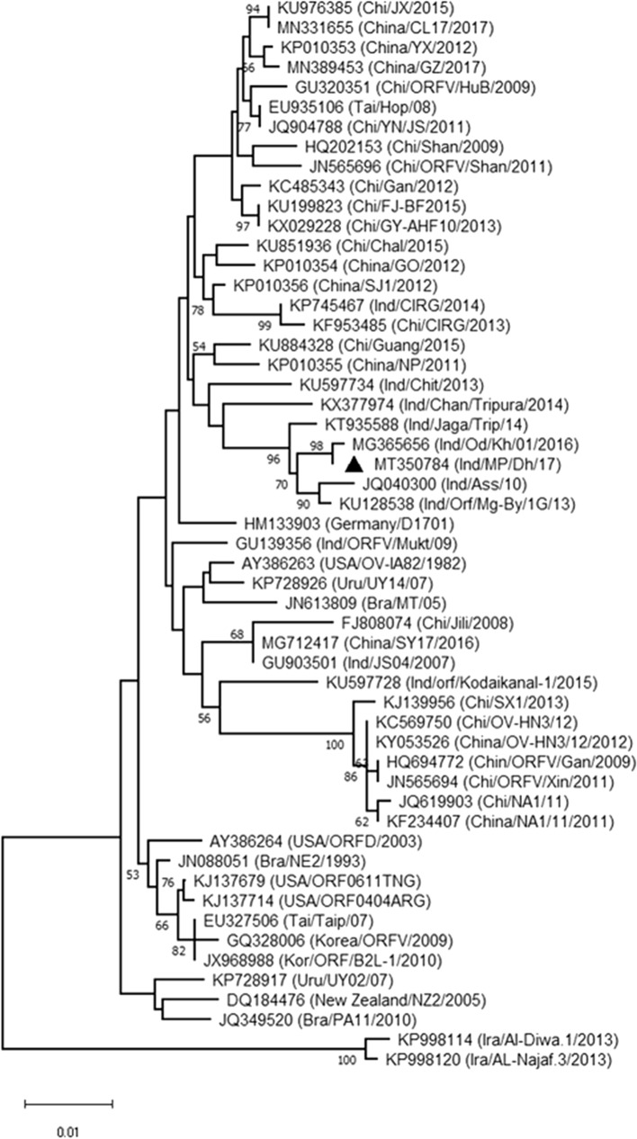 Fig. 1