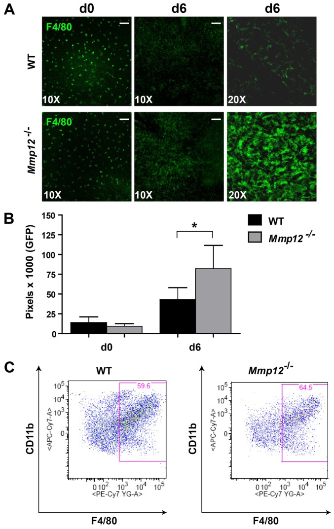 Fig. 6.