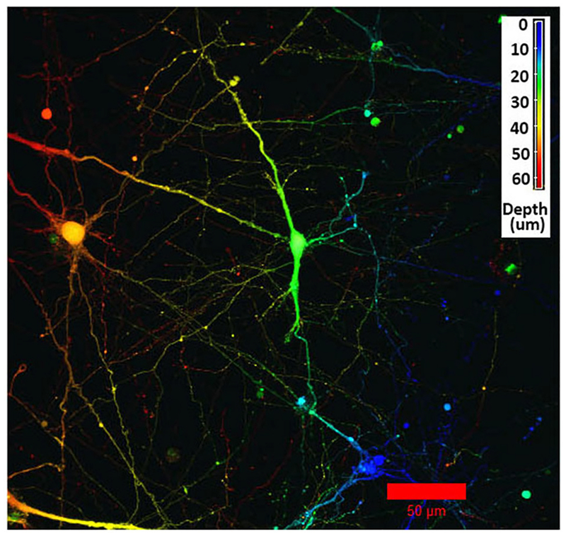 FIGURE 2 |